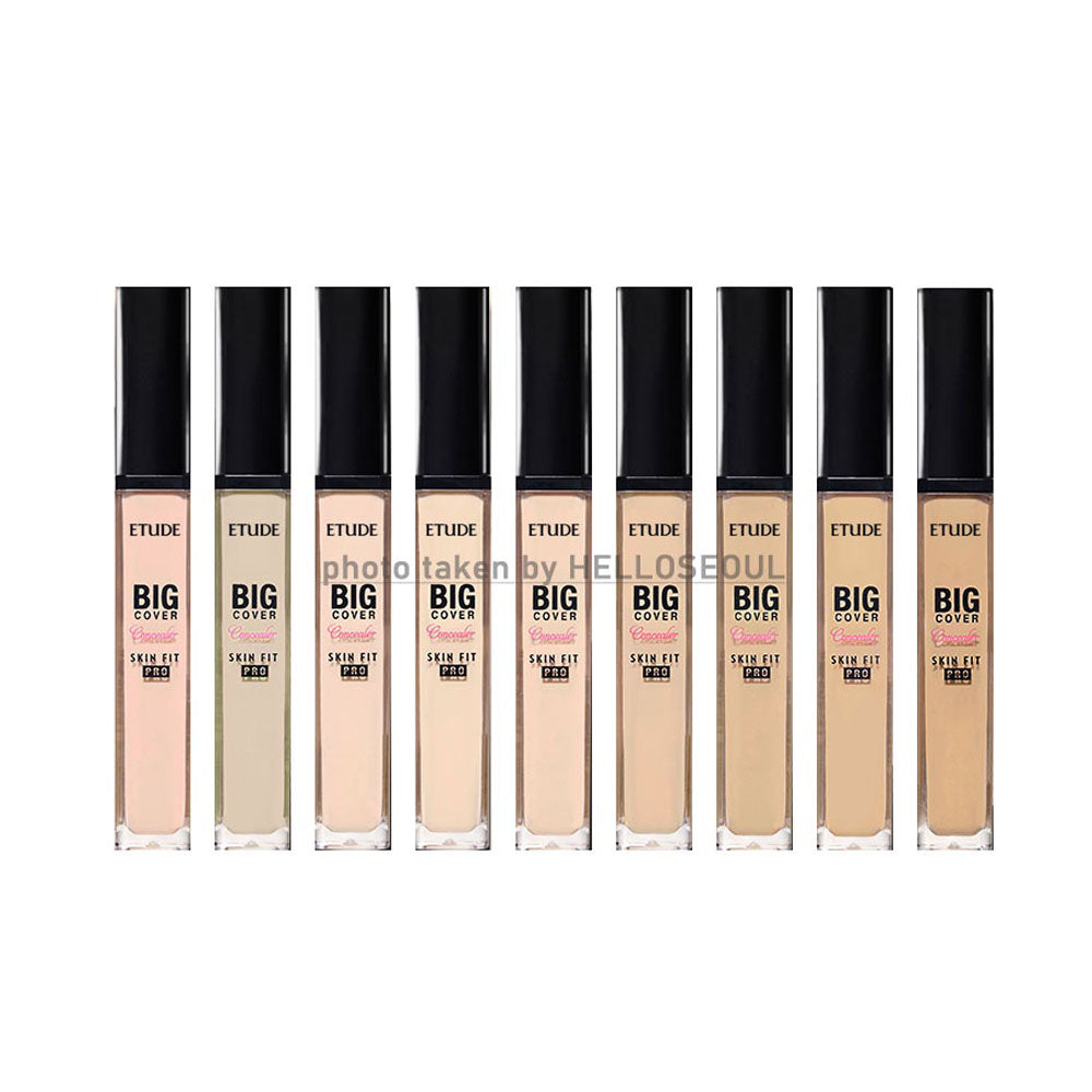 Etude House Big Cover Skin Fit Concealer PRO 7g (6 Colors Available)
