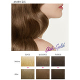 Etude House Hot Style Bubble Hair Color 5Colors [NEW]